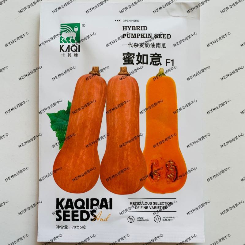 卡其蜜如意奶油南瓜种子一代杂交甜糯蜜本南瓜种子香芋甜南瓜