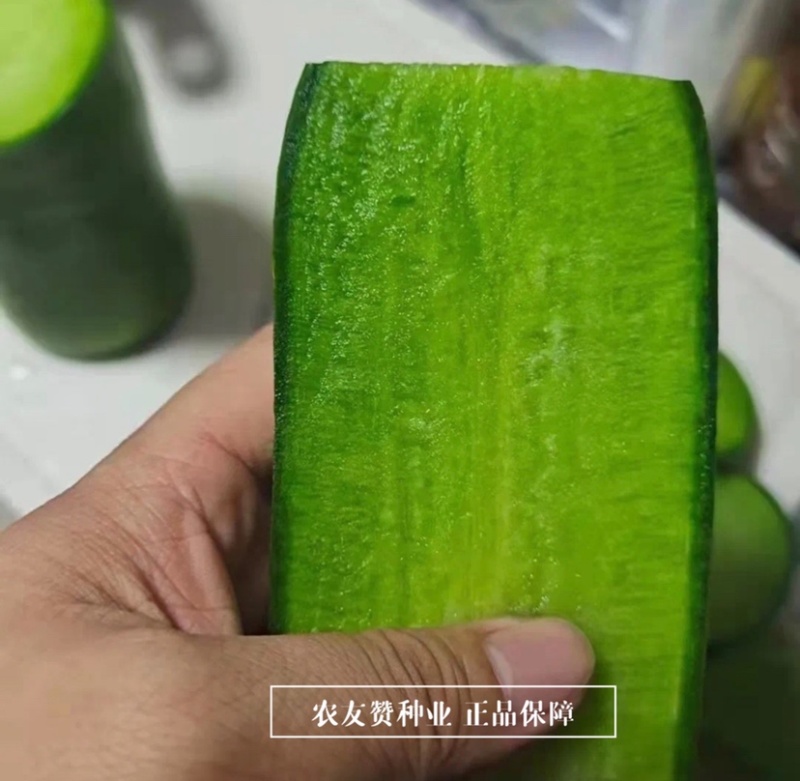 欧兰德欧雅脆水果萝卜种子脆甜多汁水分多，青萝卜种子