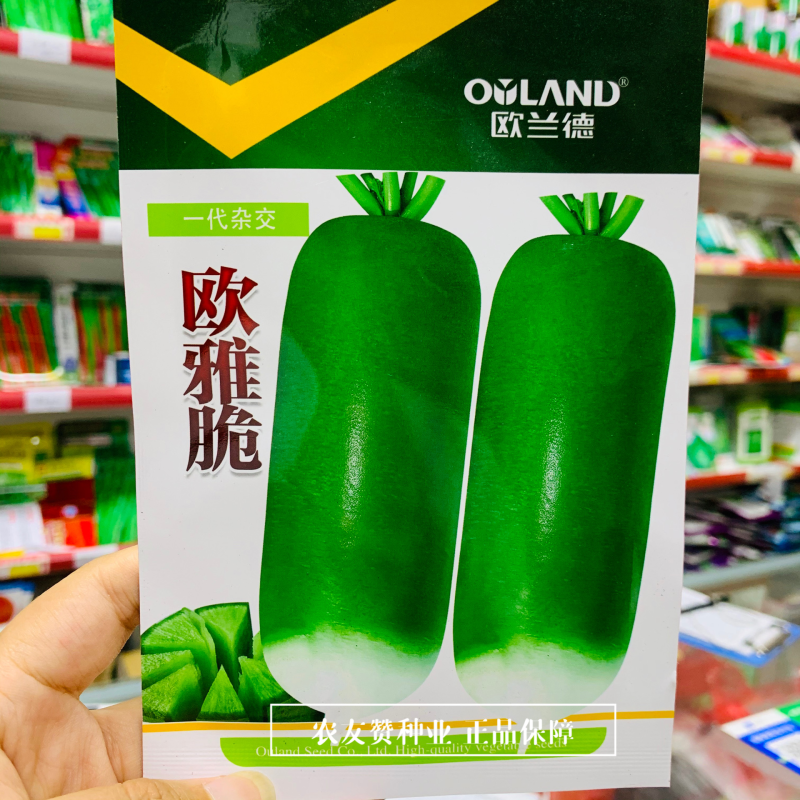 欧兰德欧雅脆水果萝卜种子脆甜多汁水分多，青萝卜种子