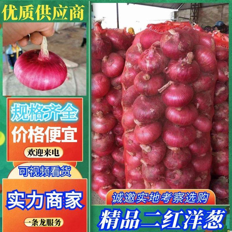 《推荐》开封二红洋葱，产地直销，全国发货，量大从优，物美价廉