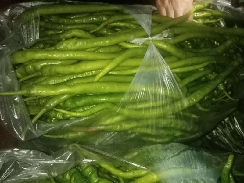 陕南大量供应线辣椒大辣椒黑辣椒