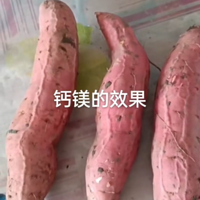 【产地直供】烟薯25号新鲜红薯现挖现发欢迎来电咨询