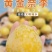 正宗湖南文明特产黄金奈李自家果园现摘现发品质保证一件代发