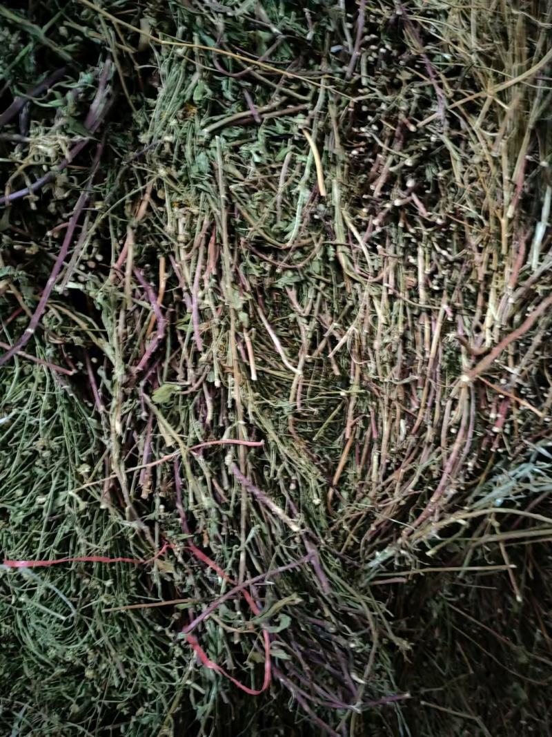 马兰草干货马兰草路边菊中药材量大从优