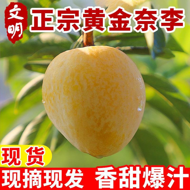 湖南文明特产黄金奈李脆甜多汁脱骨蜂糖李自己果园现摘现发