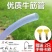 牛筋水管4分6分一寸自来水透明塑料软管防晒防寒家用浇花水
