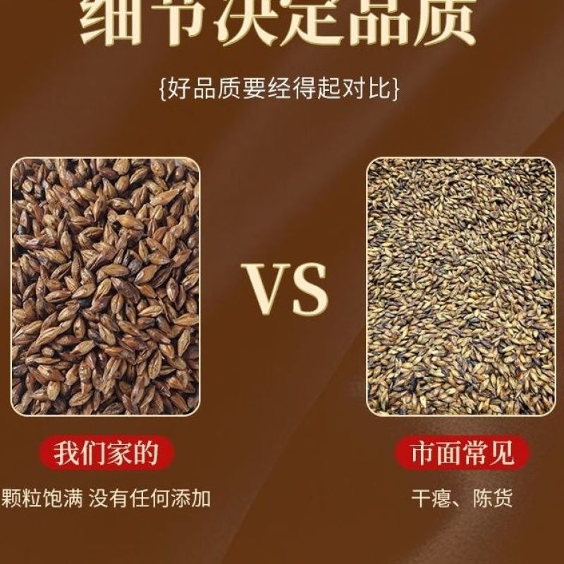 大麦茶浓香养胃饭店批发散装无杂质批发价格