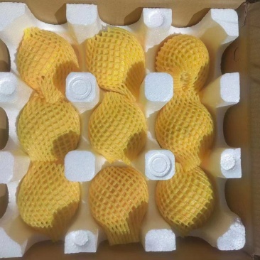锦绣黄桃