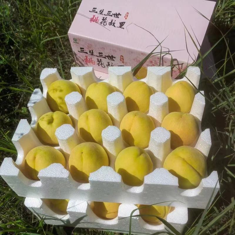 锦绣黄桃