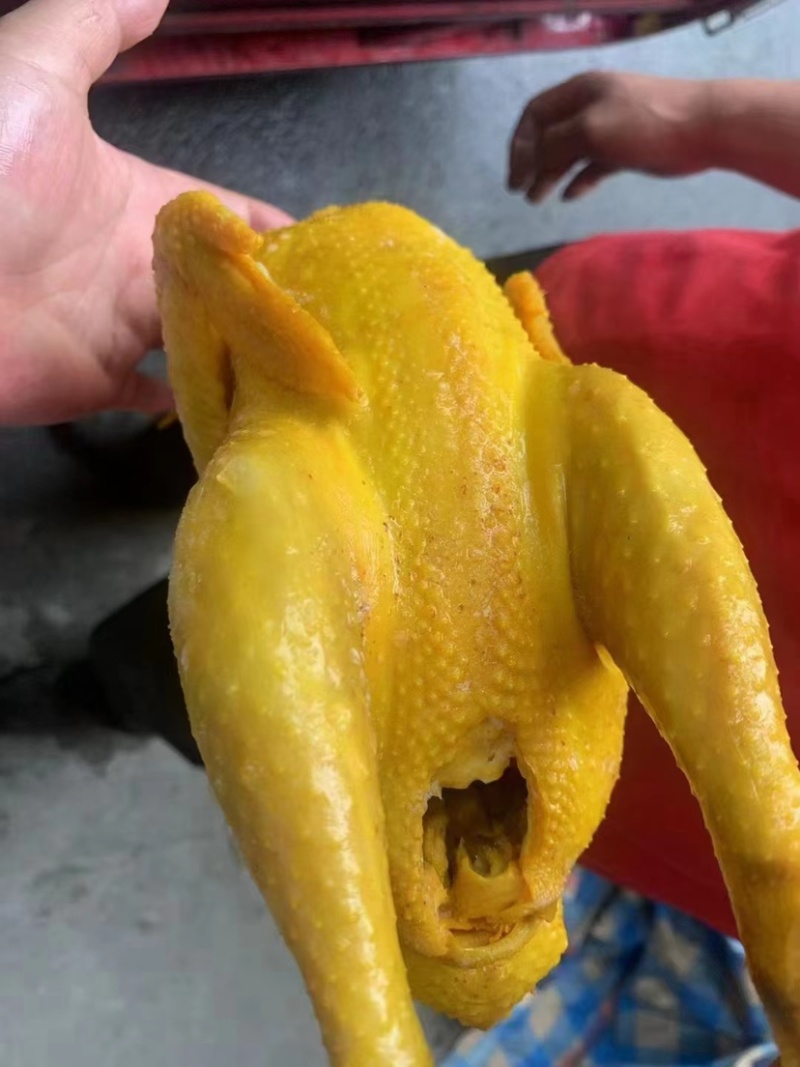 盐焗鸡边腿厂家销售盐焗鸡熟食菜市场摆摊自助餐专用产品