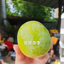 湖南文明特产翡翠奈李恐龙蛋脱骨蜂糖李脆甜多汁自家果园