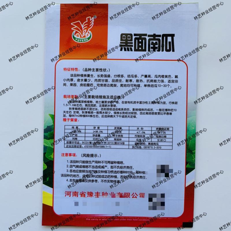 黑面瓜种子早熟黑皮甜面瓜籽小瓜种籽农户大田基地用种