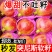 现货秒发突尼斯软籽石榴，专业代发对接直播平台电商社区