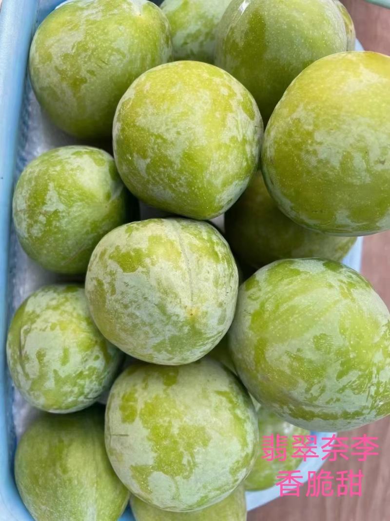 湖南文明翡翠奈李恐龙蛋脱骨蜂糖李脆甜脆甜一件代发包邮到家