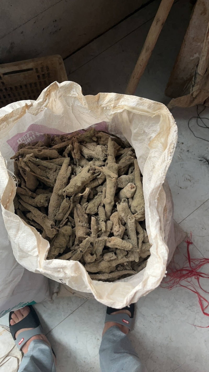 淡水酣眠紫梢花鄱阳湖产新货上市，货源充足，欢迎致电