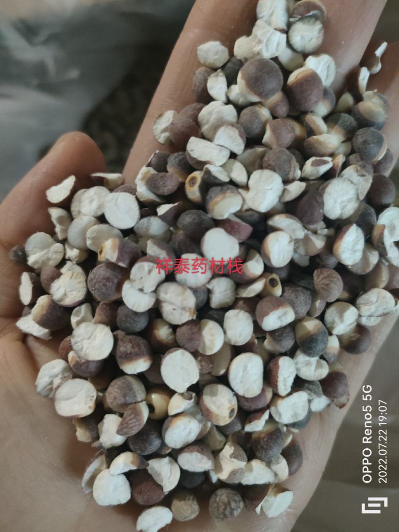 （热销）芡实芡实个十厘24瓣芡实瓣芡实米产地广东