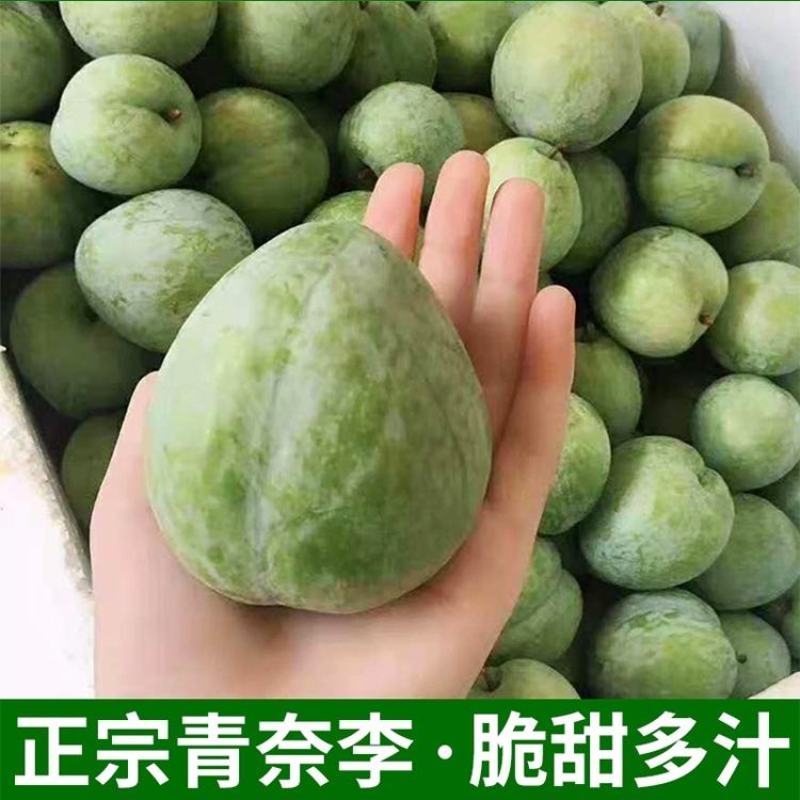 湖南文明特产翡翠奈李恐龙蛋脱骨蜂糖李脆甜多汁自家果园