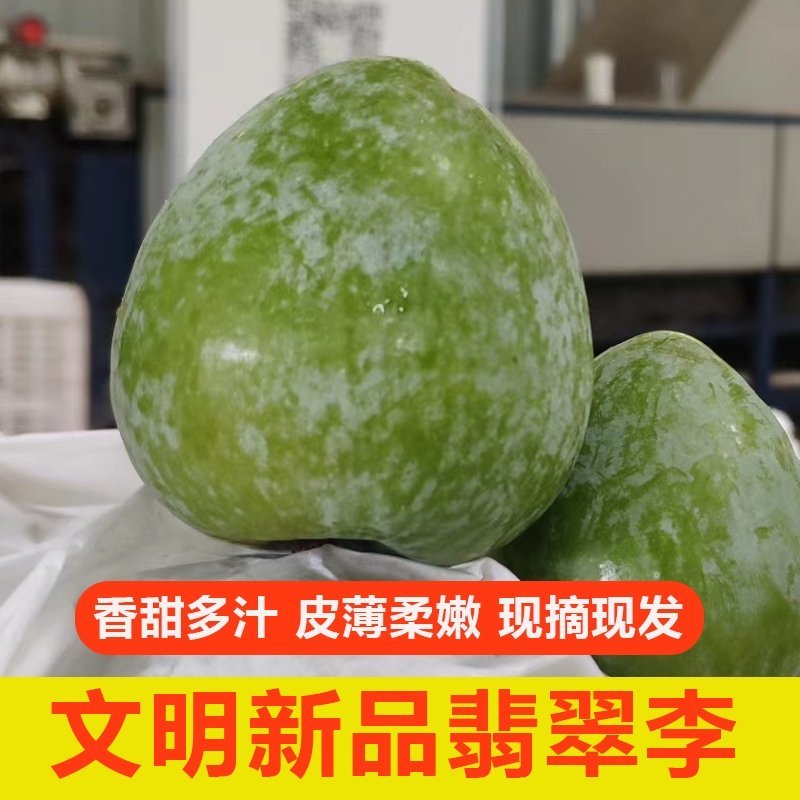湖南文明翡翠奈李恐龙蛋脱骨蜂糖李脆甜脆甜一件代发包邮到家