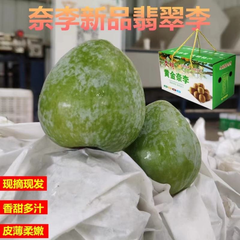 湖南文明特产翡翠奈李脆甜多汁自家果园现摘现发一件代发包邮