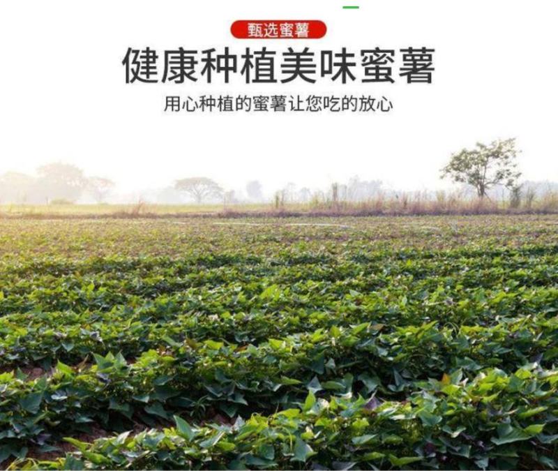 大量现货承接电商货。社区团购长期供货！诚信靠谱商家。