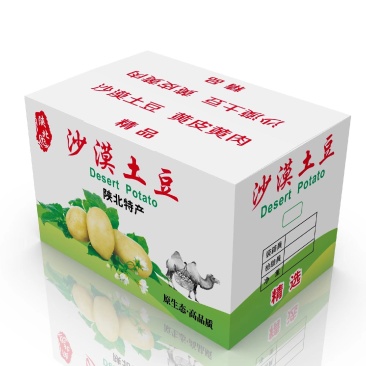 纸箱