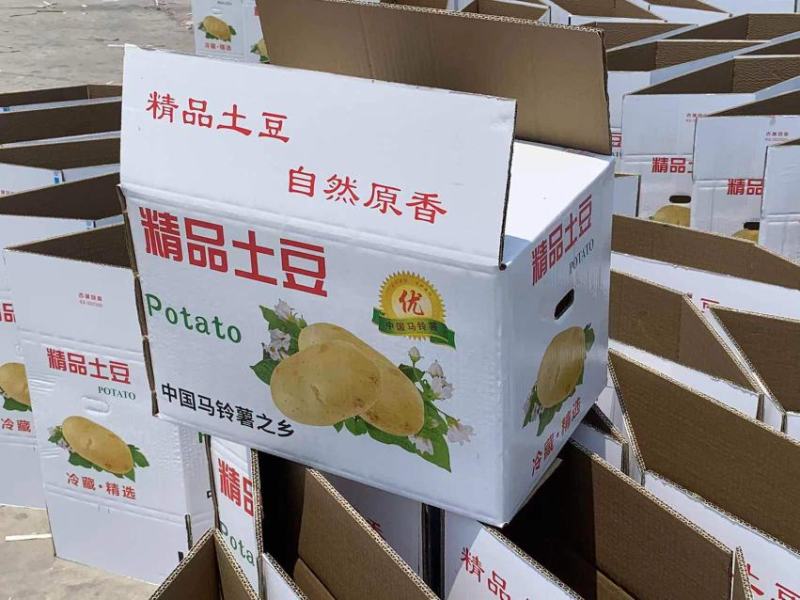 纸箱