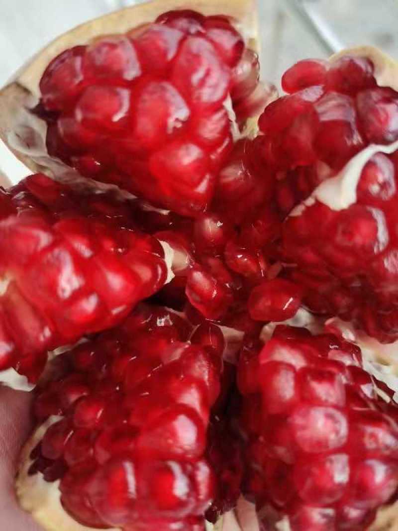 自家种植、自家种植、四川会理突尼斯软籽石榴，皮薄籽软