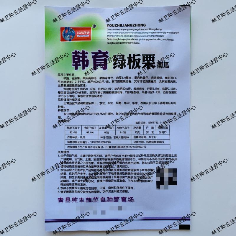 韩育绿板栗南瓜种子大果甘面甜糯香南瓜种籽菜园爬蔓