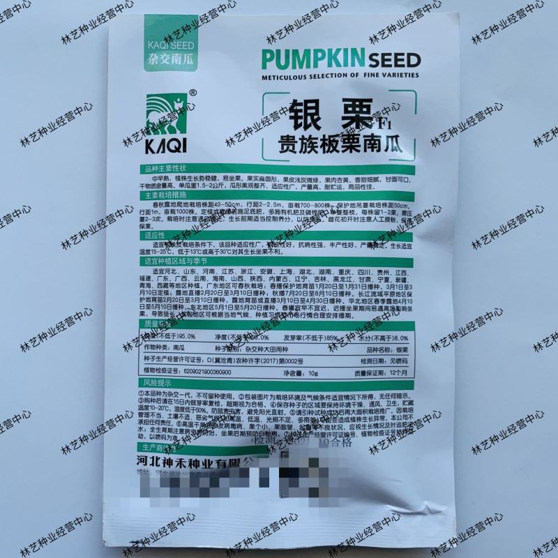 贵族银栗板栗南瓜种子高产小南瓜甜面香糯甘面四季春季蔬菜种