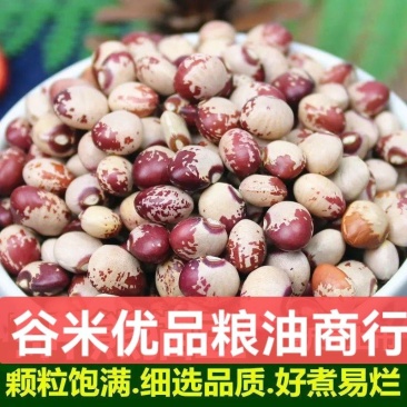 熊猫豆煮粥煲汤花饭豆五谷粗粮花芸豆奶花豆袋装50斤