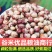熊猫豆煮粥煲汤花饭豆五谷粗粮花芸豆奶花豆袋装50斤