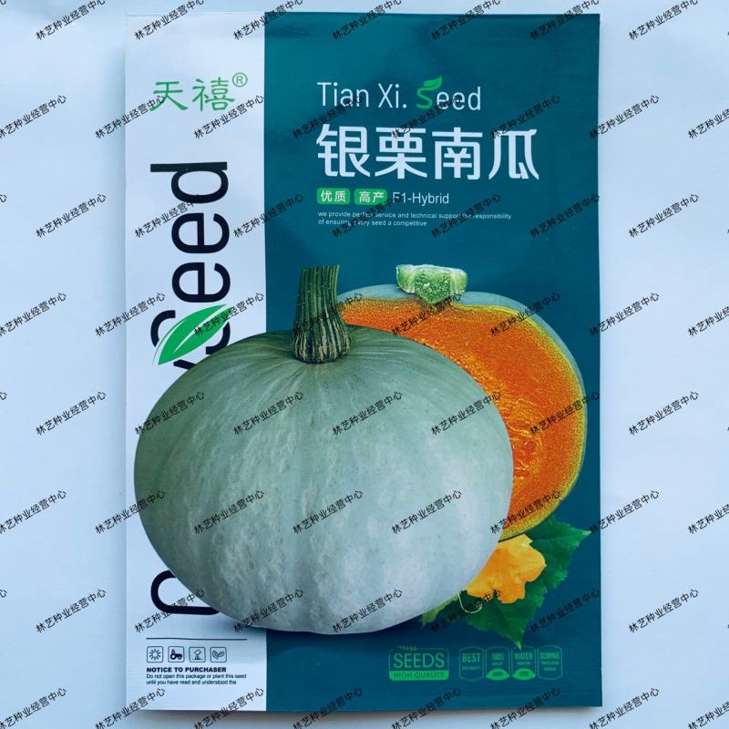 天禧银栗南瓜种子果型扁圆卡其贵族板栗味儿早熟香甜粉糯蔬菜