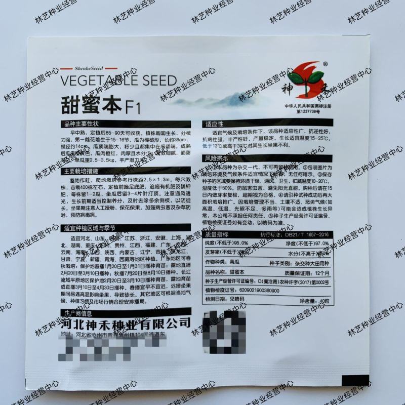 神禾甜蜜本南瓜种子早栗超甜粉面蜜本甜南瓜早熟