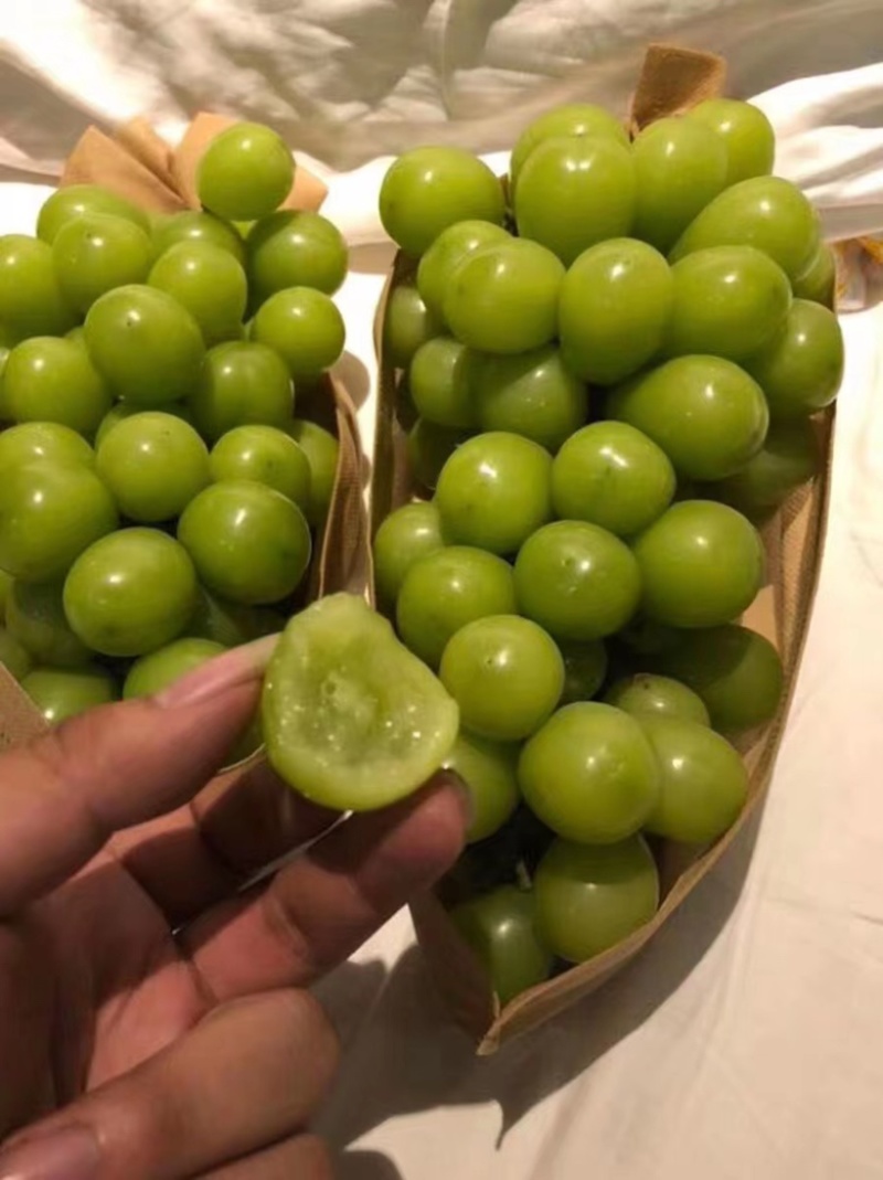 云南大理阳光玫瑰，红提，蓝宝石金手指葡萄大量上市