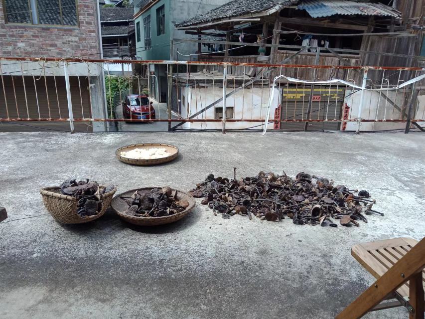 阿胶与熟黑芝麻原材料展示,背景为厨房操作台,突出食材的天然质感 阿胶与熟黑芝麻原材料展示