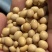 加拿大精品大颗粒黄豆蛋白44