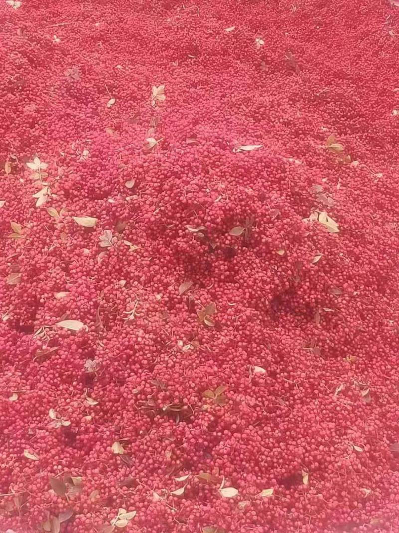 四川汉源干花椒，远近闻名，曾是皇室贡品。