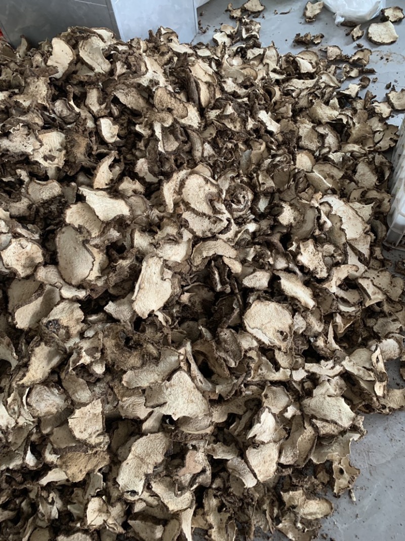 云南山乌龟干片，颜色纯白，全干货