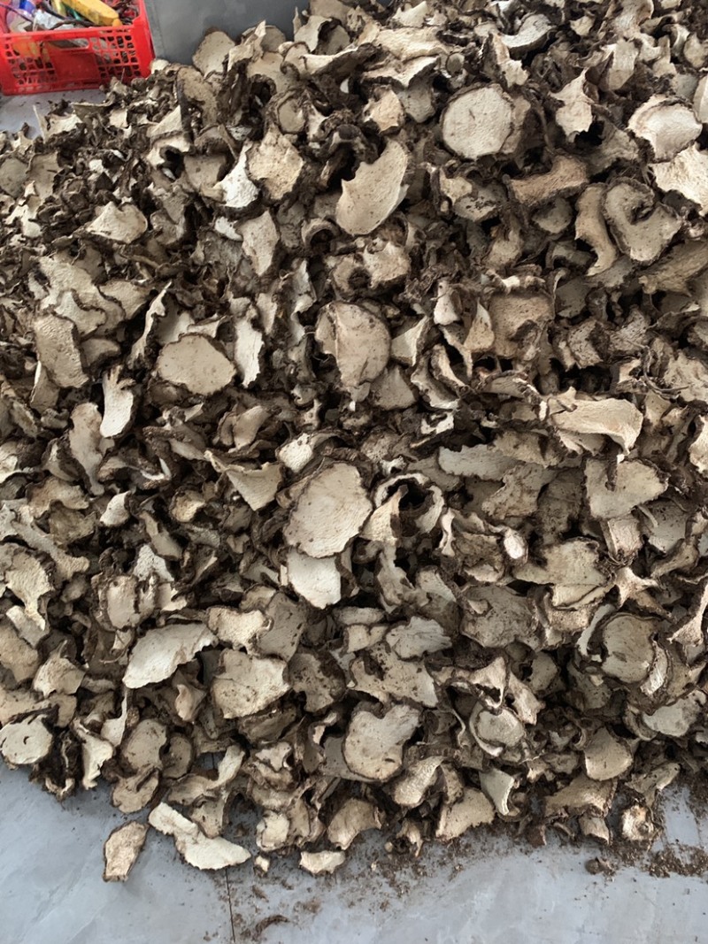 云南山乌龟干片，颜色纯白，全干货
