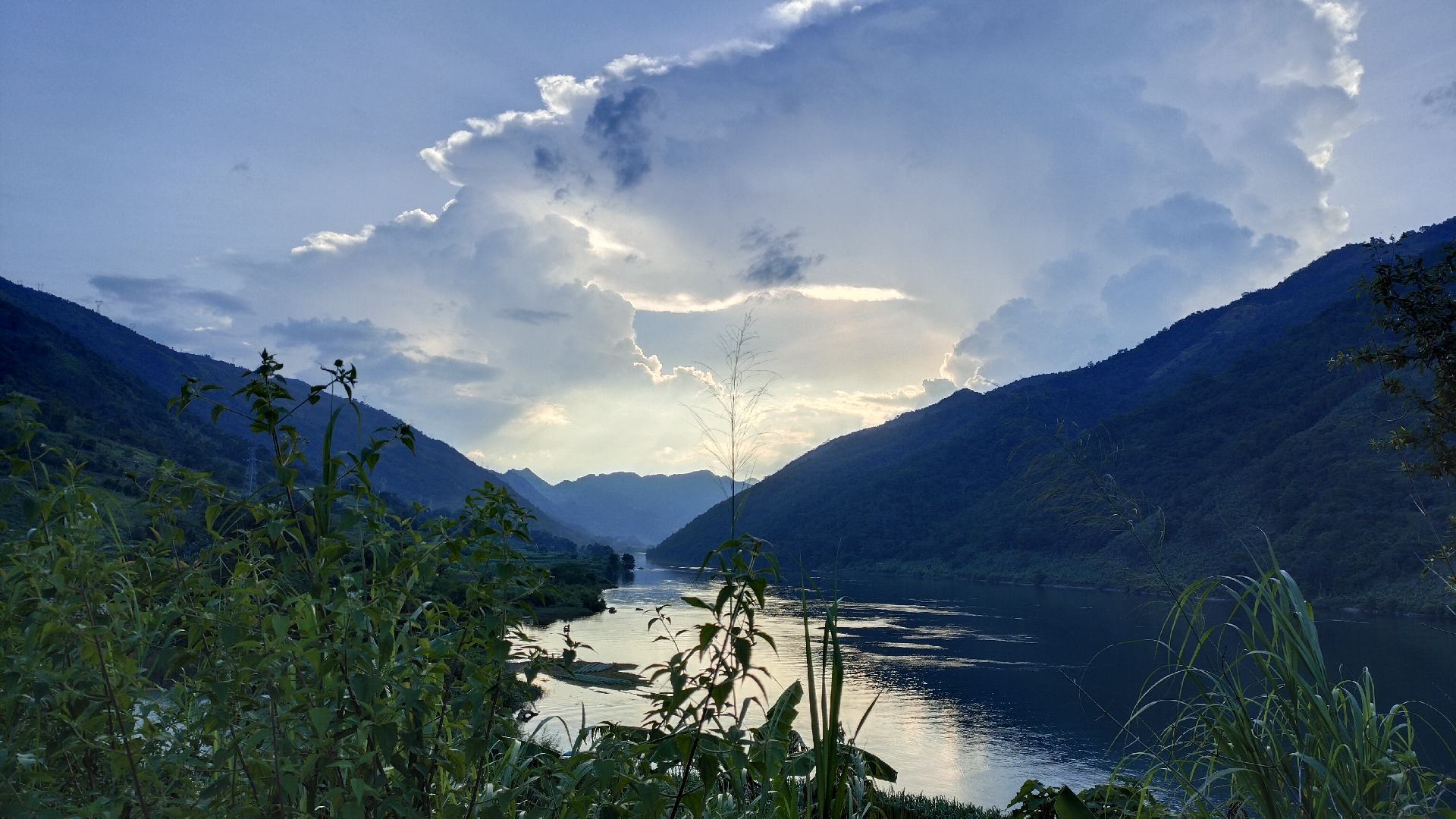 金煌芒果与小台芒的产地分布图