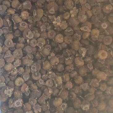 刺梨烘干品