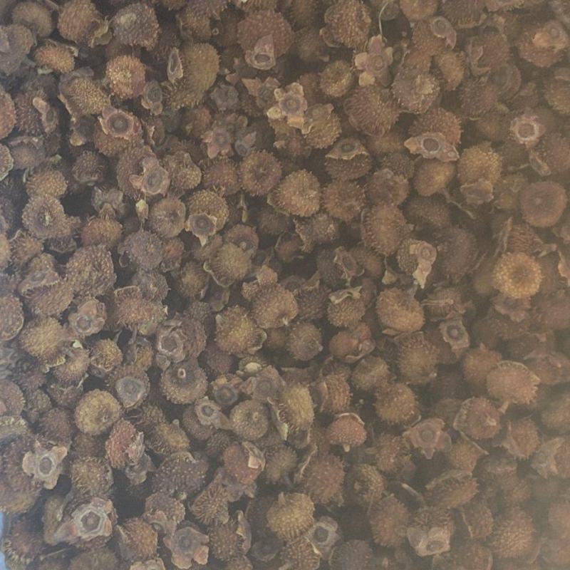 刺梨烘干品