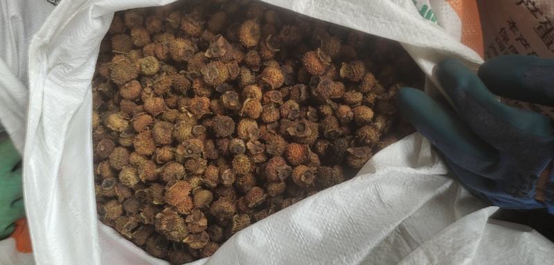 刺梨烘干品
