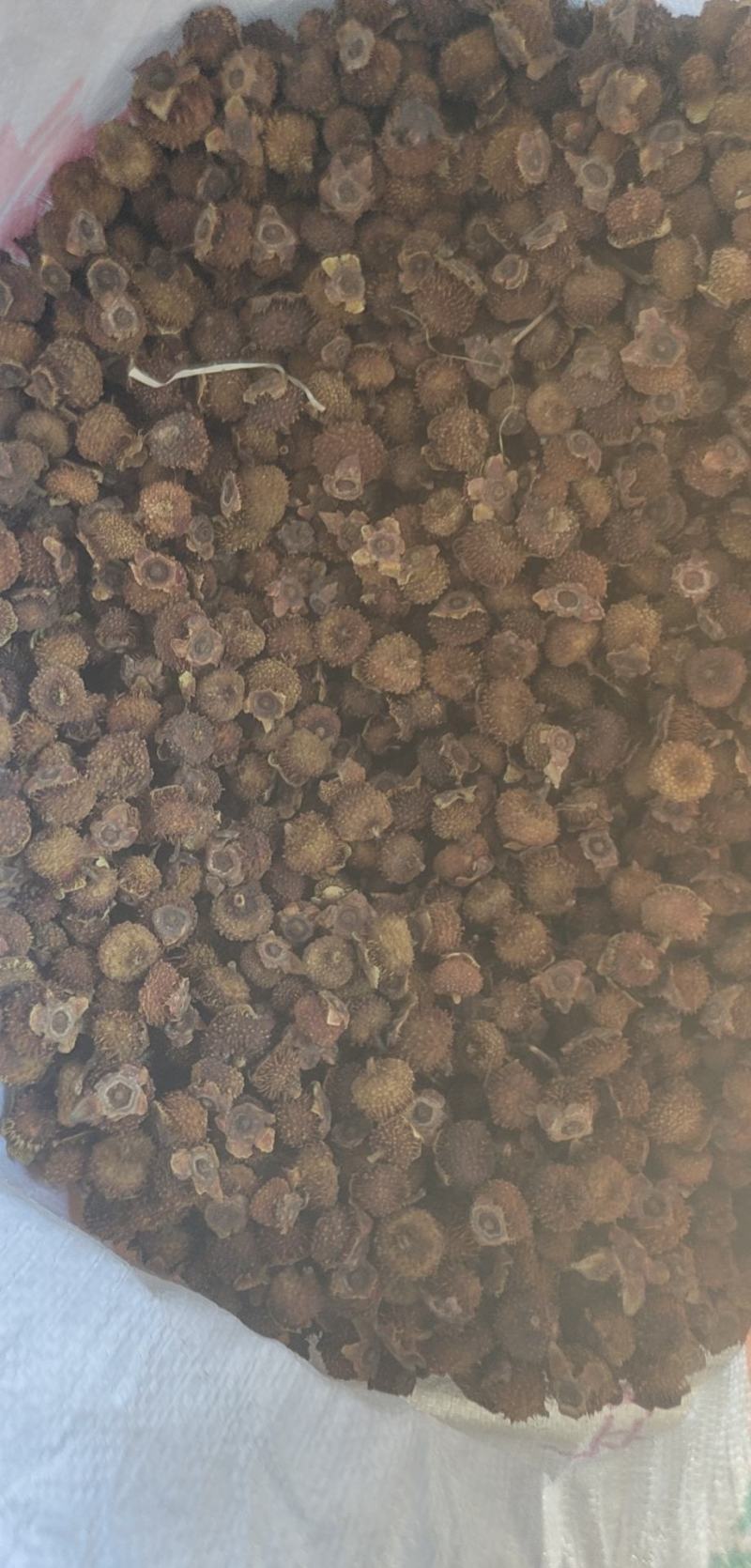 刺梨烘干品