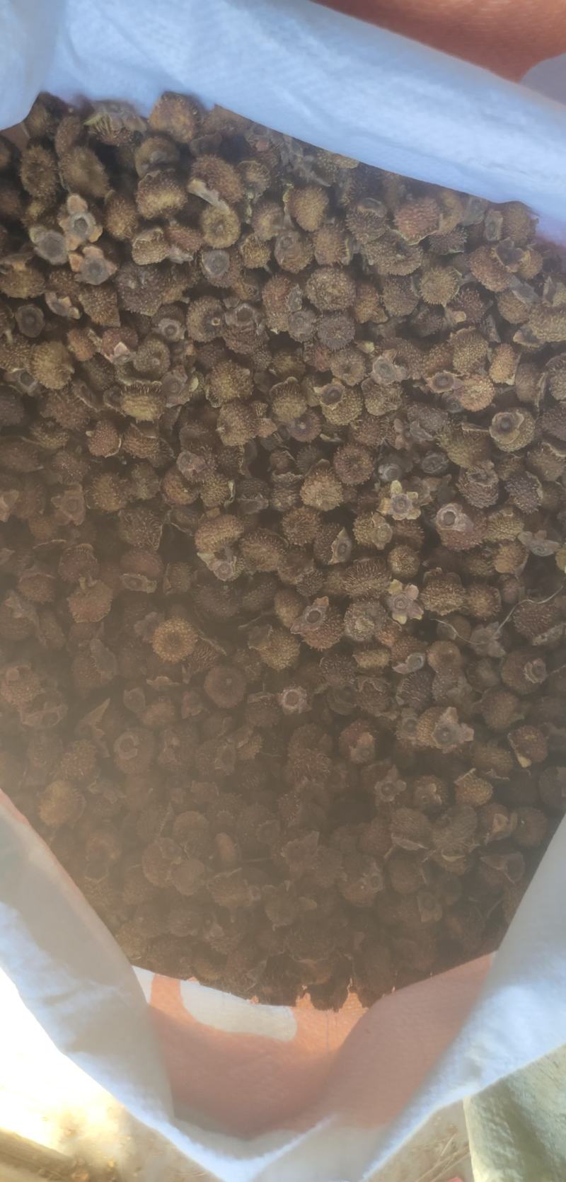刺梨烘干品