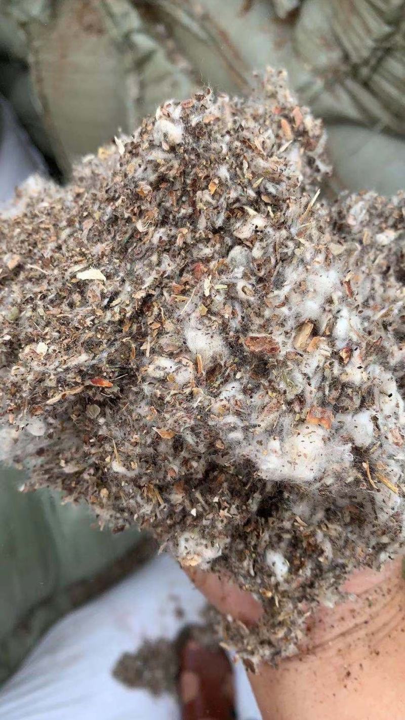 磨盘棉壳中壳中绒棉花壳食用菌原料