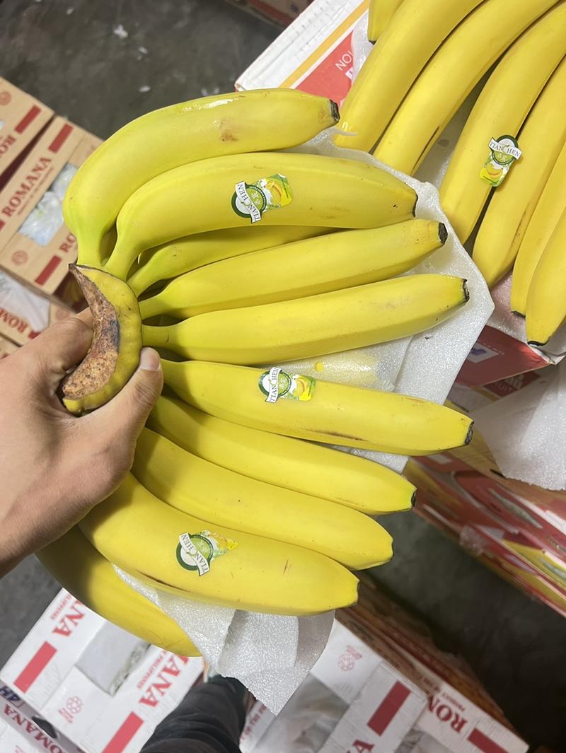 香蕉特价香蕉，口感软糯甜，质量保证，价格实惠，可发全国
