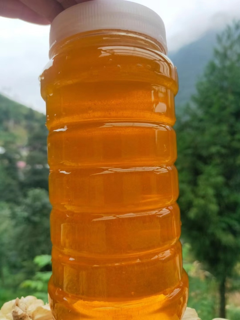 土蜂蜜高山蜜源，一年只取一次，诚信经营，口感纯正