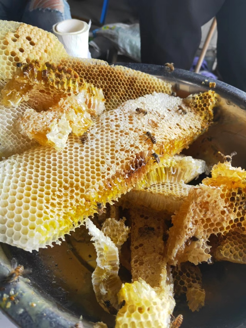 土蜂蜜高山蜜源，一年只取一次，诚信经营，口感纯正