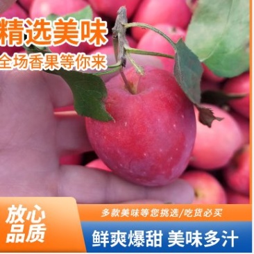 一件代发鸡心果海棠果电商供货主播供货产地直发